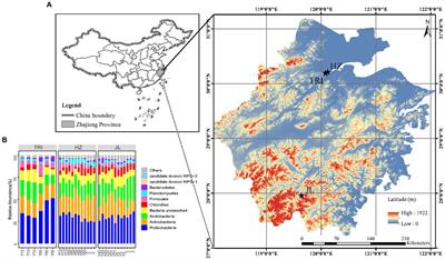 Variations in Soil Nutrient Dynamics and Bacterial Communities After the Conversion of Forests to Long-Term Tea Monoculture Systems